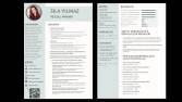 Güncel CV