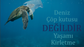 Broşür Tasarımı