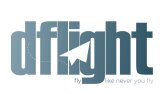 Dflight Konsept Logo Çalışması