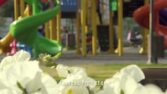 çektiğim ve kurguladığım videolar