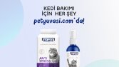 Sosyal Medya Tasarımı