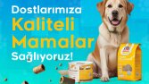 Petshop