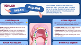 Ersöz Diş Kliniği için Hazırladığım Broşür Çalışmaları