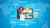 SAP SD,MM,PP MODULE SPECIALIST