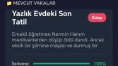 Web Tabanlı Etkileşimli Dedektif Oyunu