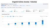 Seo çalışması sonucu doğal kelimelerdeki yükseliş raporu
