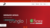 Koronapay Alanya için php-Admin panelli web sitesi