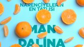 Sosyal Medya Tasarımları