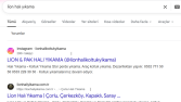 Lion Halı Yıkama