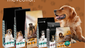 Petshop Sosyal Medya Gönderi Tasarımı
