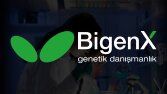 Logo Tasarımı Hizmeti