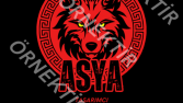 Logo Tasarımları