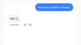 E-Ticaret AI Chatbotu