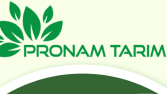 PronamTarım Logo tasarım çalışması
