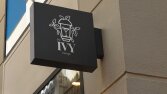 Ivy - konsept logo tasarımı