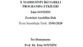 Tez Şablonu Hazırlama