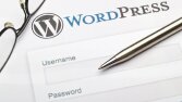 Tema, plugin ve sayfa kurulumu