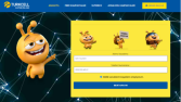İnternet Başvurusu - İnternet Sitesi Kurulum