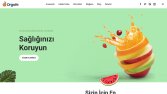 Web Sitesi Çalışması