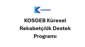 KOSGEB Küresel Rekabetçilik Destek Programı Proje yazımı