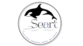 Marka Kimliği/LOGO Tasarımı_Seart Yatçılık
