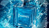 Chanel - Instagram Post Çalışması