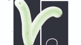 Orijinal broşür ve katalog tasarımı 