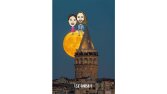 Evlilik İllüstrasyonları