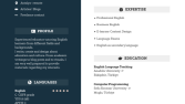 İngilizce cv örneği