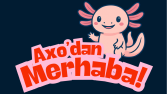 Axo Cell (Hayali şirket için flyer tasarımı)