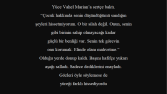 Kısa Metinlerim
