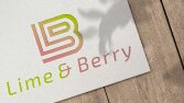 Lime&Berry - Konsept Çalışmaları