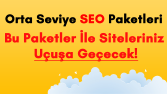 Orta Seviye SEO Paketleri