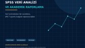 SPSS Veri Analizi ve Akademik Raporlama Portfolyosu