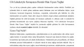 Misbahçe- SEO Blog İçeriği