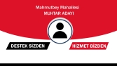 Muhtar Kartvizit Tasarımı