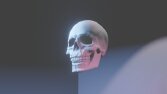Kuru kafa sculpt