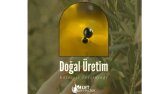 Mert Zeytincilik