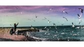 Çektiğim ve Editlediğim Fotoğraflar
