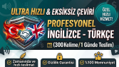 Türkçe - İngilizce Profesyonel Metin Çevirisi Örneği