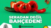 Farklı Alanlarda Sosyal Medya Tasarımları