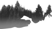 Double Exposure