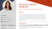 İngilizce CV