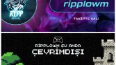 Hey Reklamlarını ve Bannerini Uçurmamı İstermisin