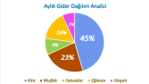 Kişisel Finans ve Bütçe Dağılım Analizi
