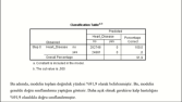 SPSS Veri İşleme, Temizleme ve Analiz