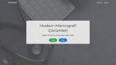 Modern ve Dinamik Web Siteleri 