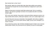 Blog Yazarlığı – Örnek Makale