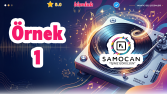 Örnekler