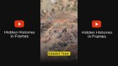 Yabancı Kanal İçin Shorts Videosu